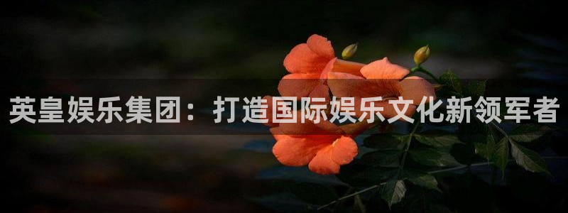 门徒娱乐