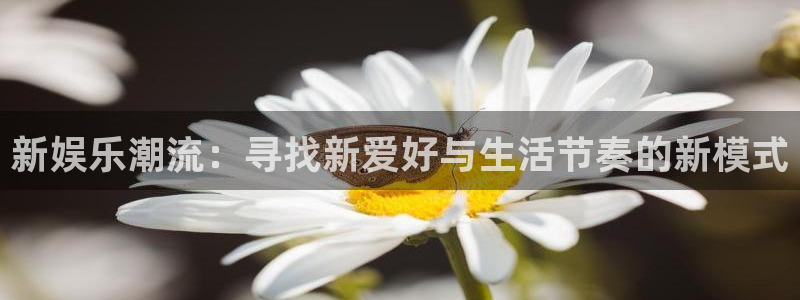 门徒娱乐彩票最新官网