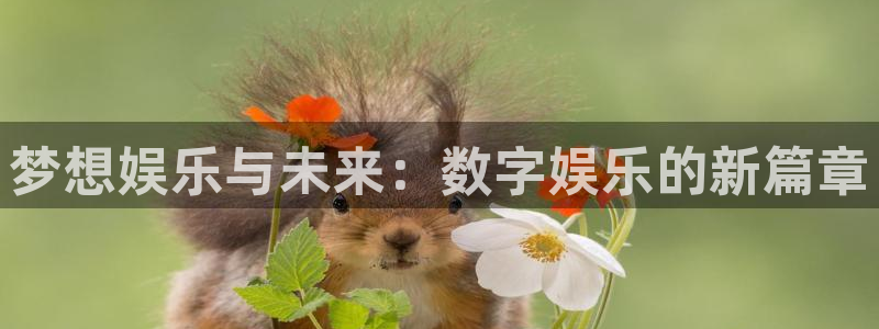 在线看门徒平台：梦想娱乐与未来：数字娱乐的新篇章