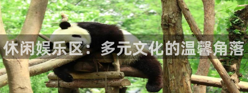 门徒娱乐官网首页：休闲娱乐区：多元文化的温馨角落